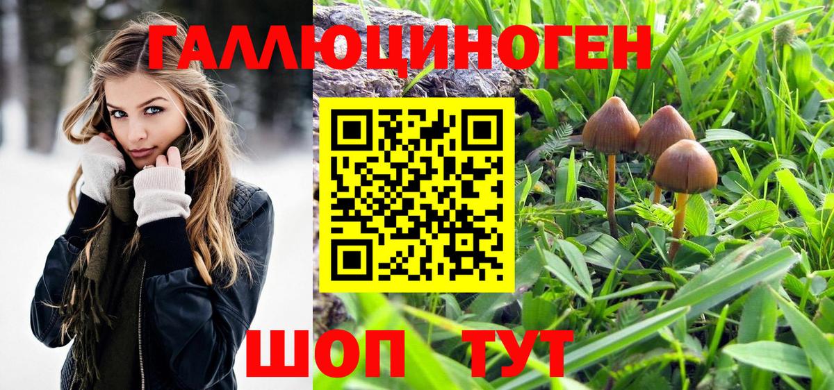 Магадан  Галлюциногенные грибы Magic Shrooms  Вход с VPN 