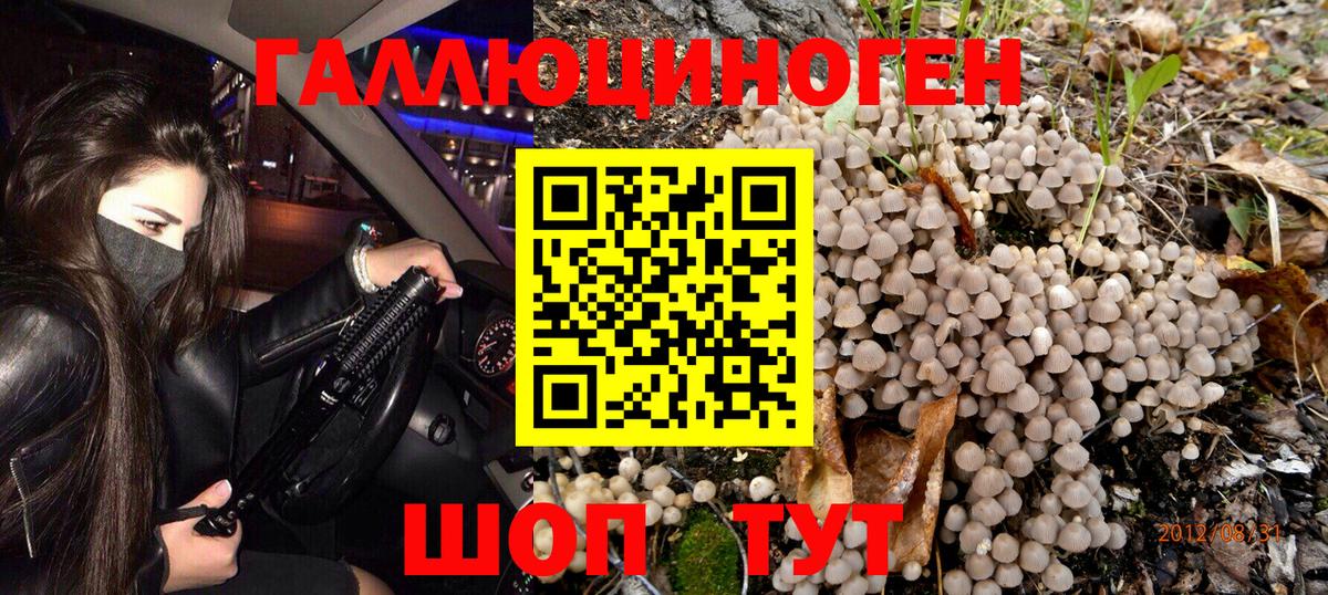 Псилоцибиновые грибы Psilocybine cubensis Магадан